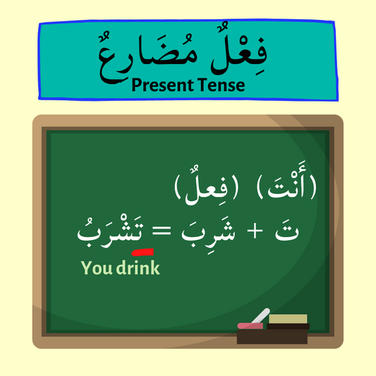 Present Tense for أَنْتَ