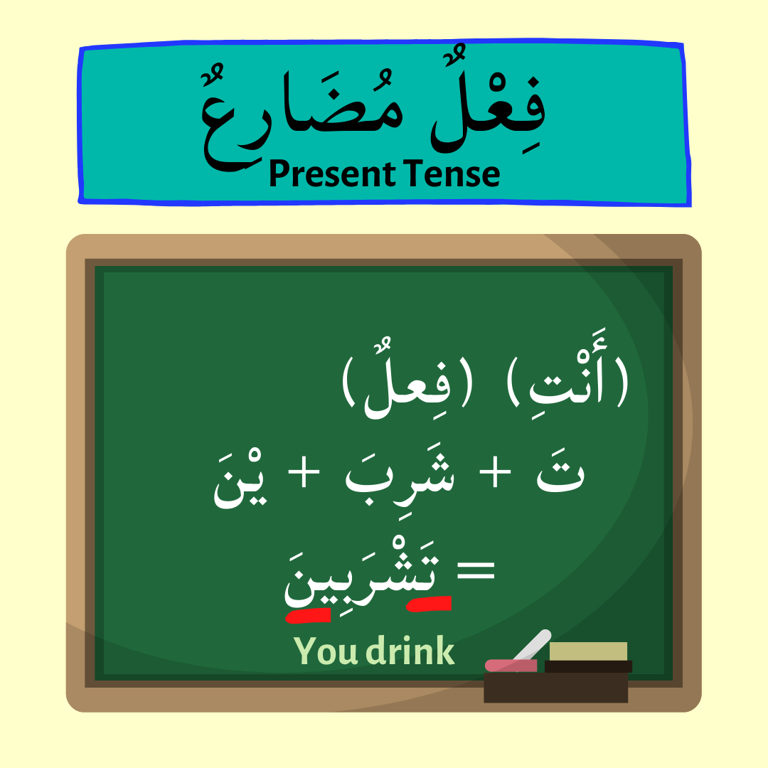 Present Tense for أَنْتِ